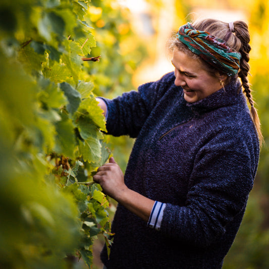 Wine-Tasting mit dem Weingut Albrecht Kiessling