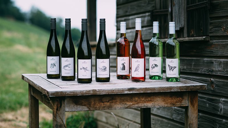 Wine-Tasting mit dem Weingut G.A. Heinrich